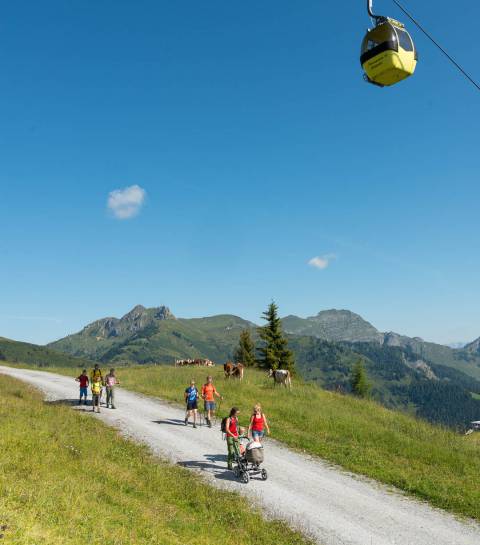 Familienwanderung mit Kinderwagen