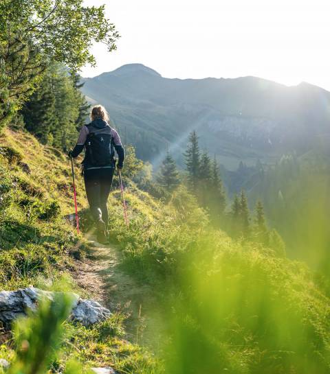 Wanderin mit Stöcken auf einem sonnigen Bergpfad in den Alpen nahe dem Familienhotel Oberkarteis