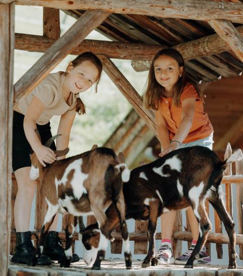 Streicheltiere in der Kids Farm