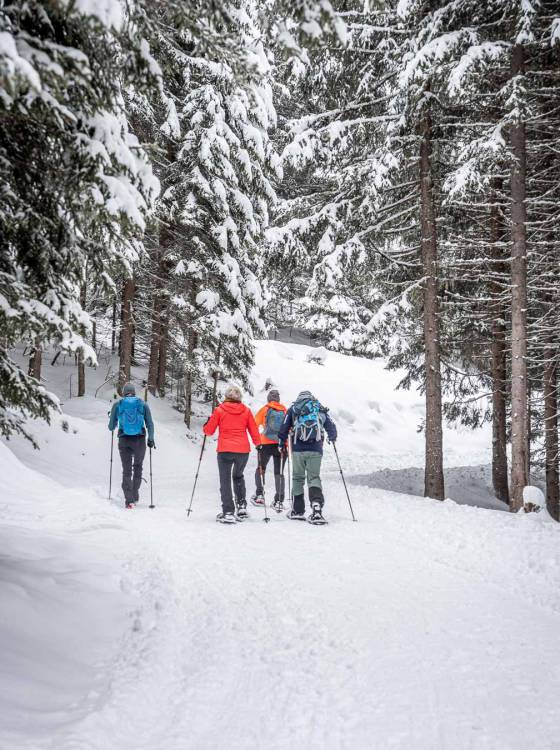 Vier Personen machen mit Stöcken durch einen verschneiten Waldweg eine Skitour– Winterwanderung beim Familienhotel Oberkarteis