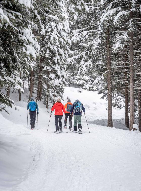 Snowshoe Hiking - Familienhotel Oberkarteis