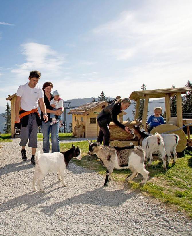 WAGRAINi’s Grafenberg: Interactive stations for all ages - Familienhotel Oberkarteis