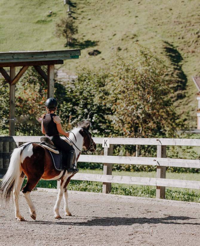 Horse Welfare & Caring Interaction: Happy Animals & Kids - Familienhotel Oberkarteis