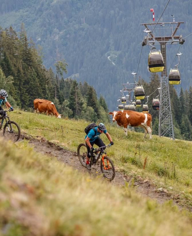 Summer Holidays: Exploring the Valley of Alpine Meadows - Familienhotel Oberkarteis