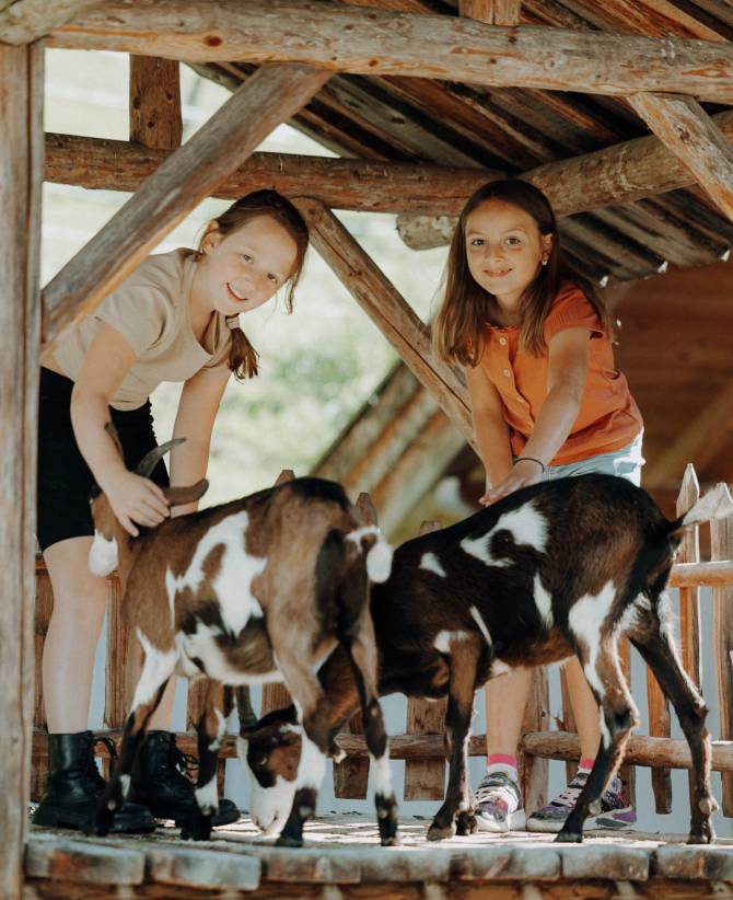 Kids Farm: Meet Animals and Experience Nature - Familienhotel Oberkarteis