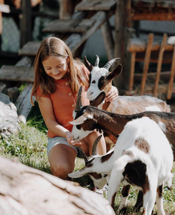 Animals to Touch: Our Kids Farm - Familienhotel Oberkarteis