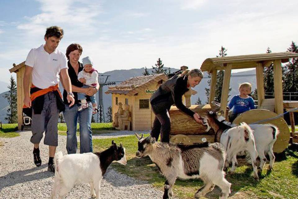 Familie mit Kindern streichelt Ziegen auf einer Alm mit Holzspielhaus im Hintergrund