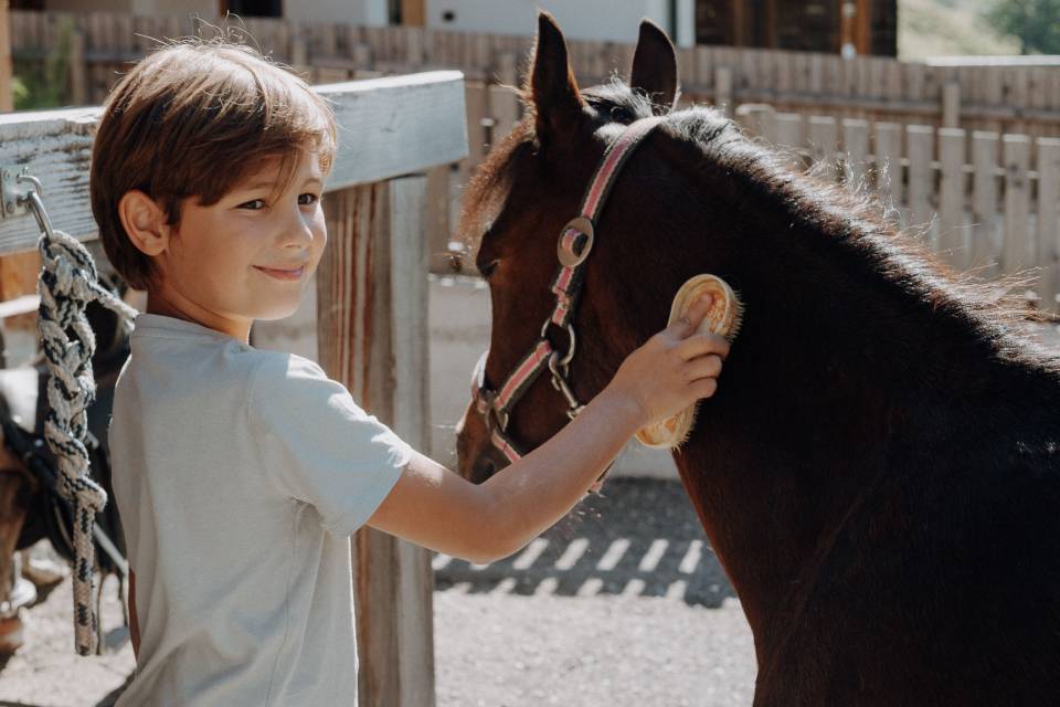 Junge striegelt Pferd im Stall beim Ponyprogramm für Kinder beim Hotel Oberkarteis