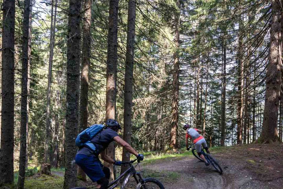 Mountainbiker auf einem Waldtrail im Salzburger Land nahe dem Familienhotel Oberkarteis