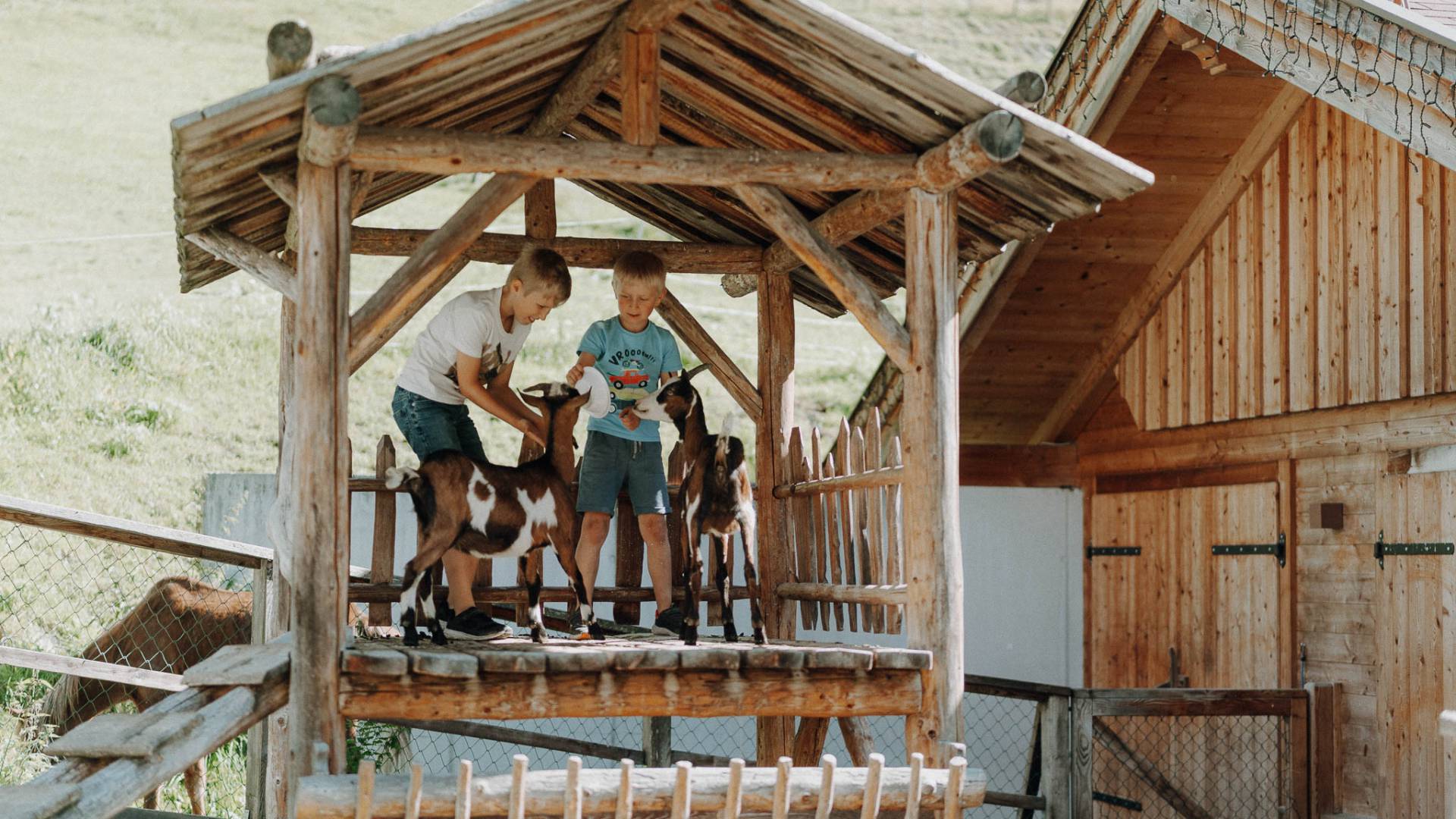 Zwei Jungs füttern und streicheln Ziegen in der Holzhütte des Familienhotels Oberkarteis