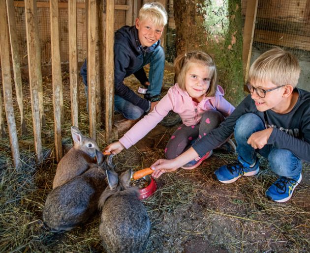 Familienhotel mit Bauernhof