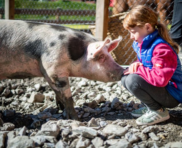 Tiere im Familienhotel