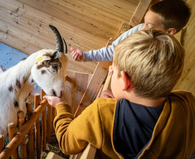 Tiere im Familienhotel
