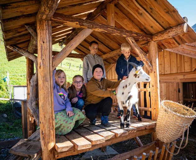 Tiere im Familienhotel