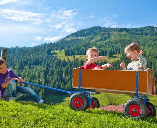 Leiterwagen fahren