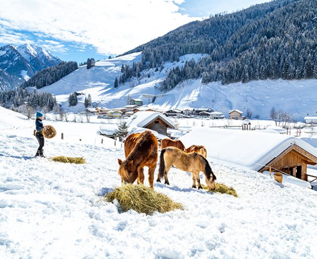 Kinderbetreuung im Winter