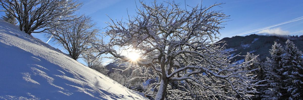 Babyhotel im Winter im Salzburger Land