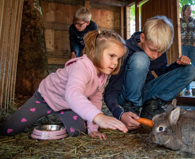 Kinder beim Kaninchen füttern im Bauernhofhotel Oberkarteis